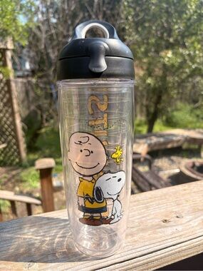 Peanuts Charlie Brown & Snoopy Clear Travel Tumbler - Black Lid